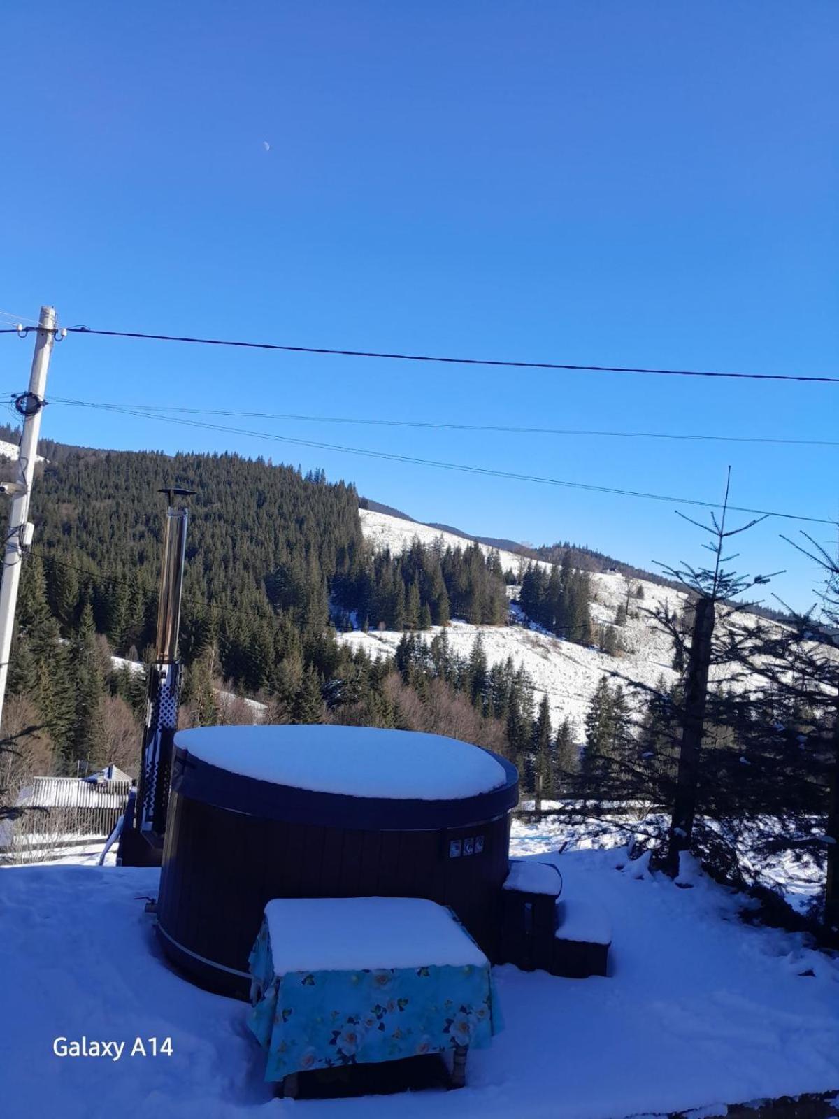 Apartament Затишні Карпати)) Wierchowina Zewnętrze zdjęcie